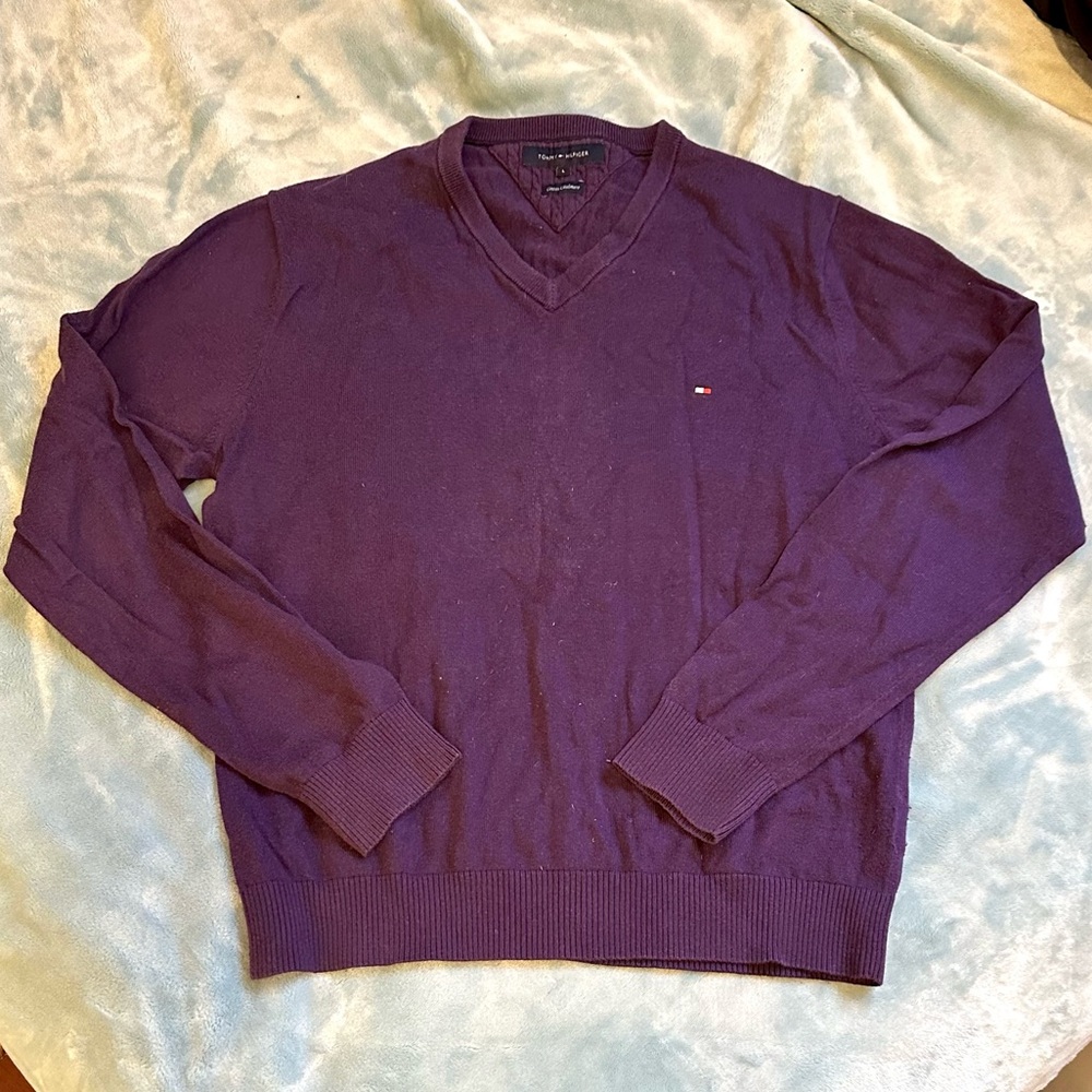 Tommy Hilfiger Men's Rich Purple V-Neck Sweater